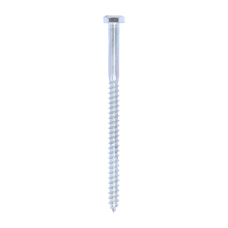 Timco | 6.0 x 100 Coach Screw