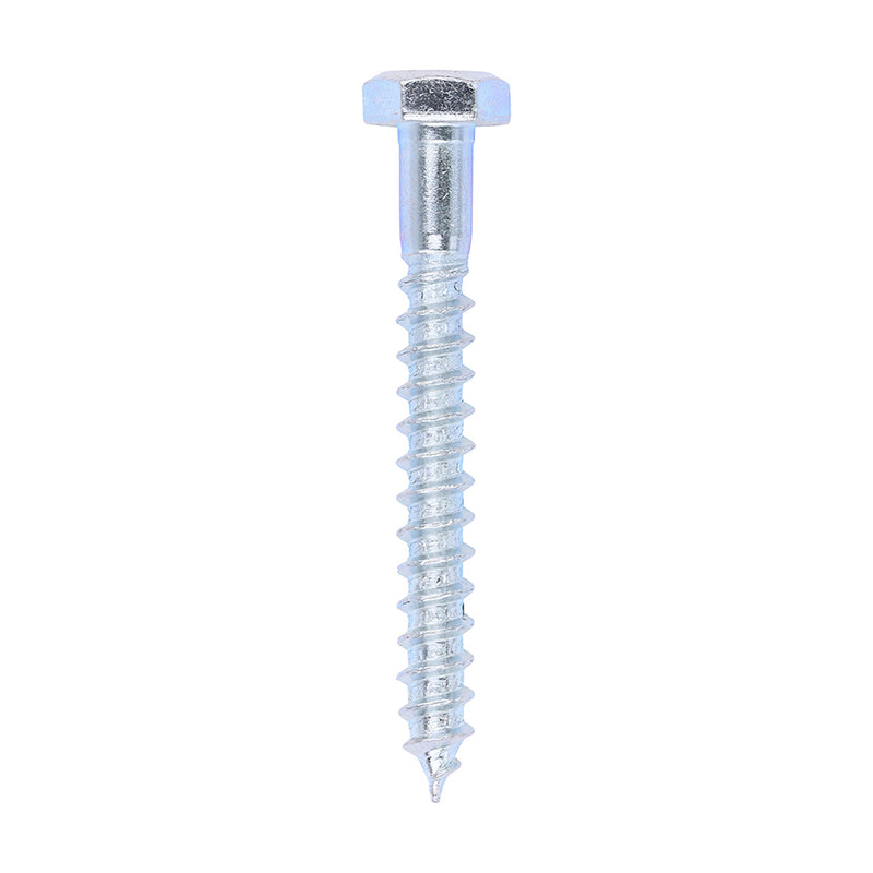 Timco | 6.0 x 50 Coach Screw