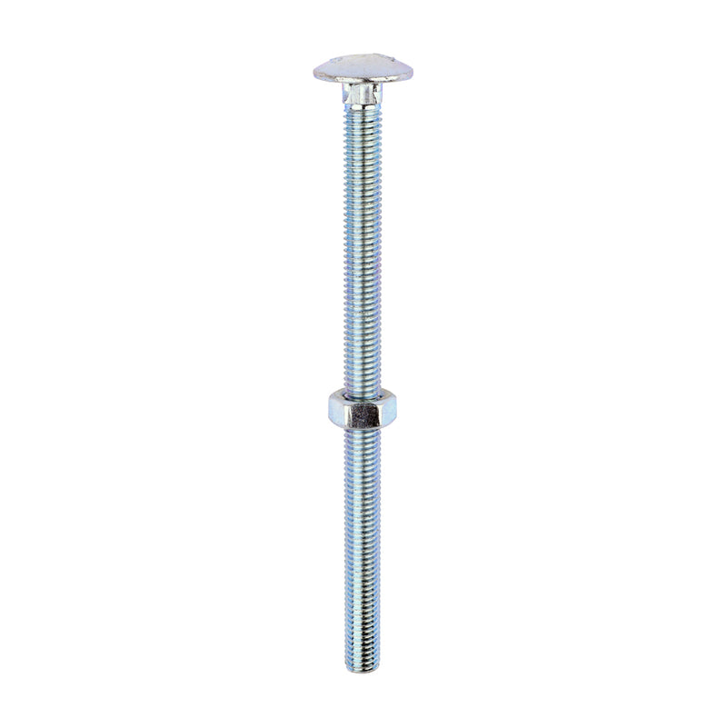 Timco | M8 x 130 Carriage Bolt & Hex Nut