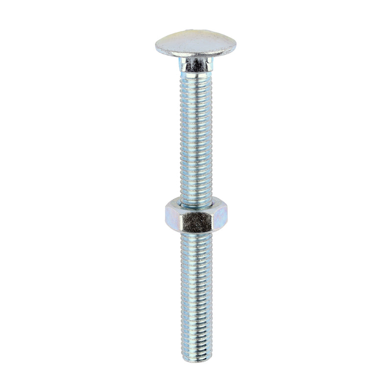 Timco | M10 x 100 Carriage Bolt & Hex Nut