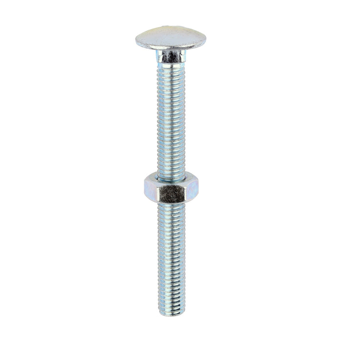 Timco | M10 x 100 Carriage Bolt & Hex Nut