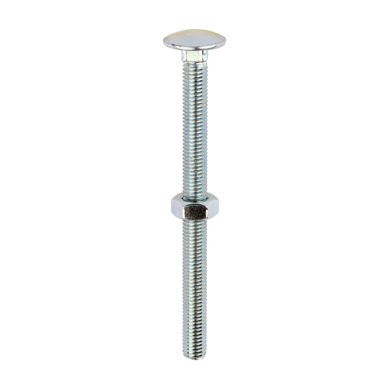 Timco | M10 x 130 Carriage Bolt & Hex