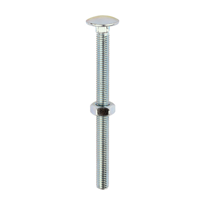 Timco | M10 x 130 Carriage Bolt & Hex