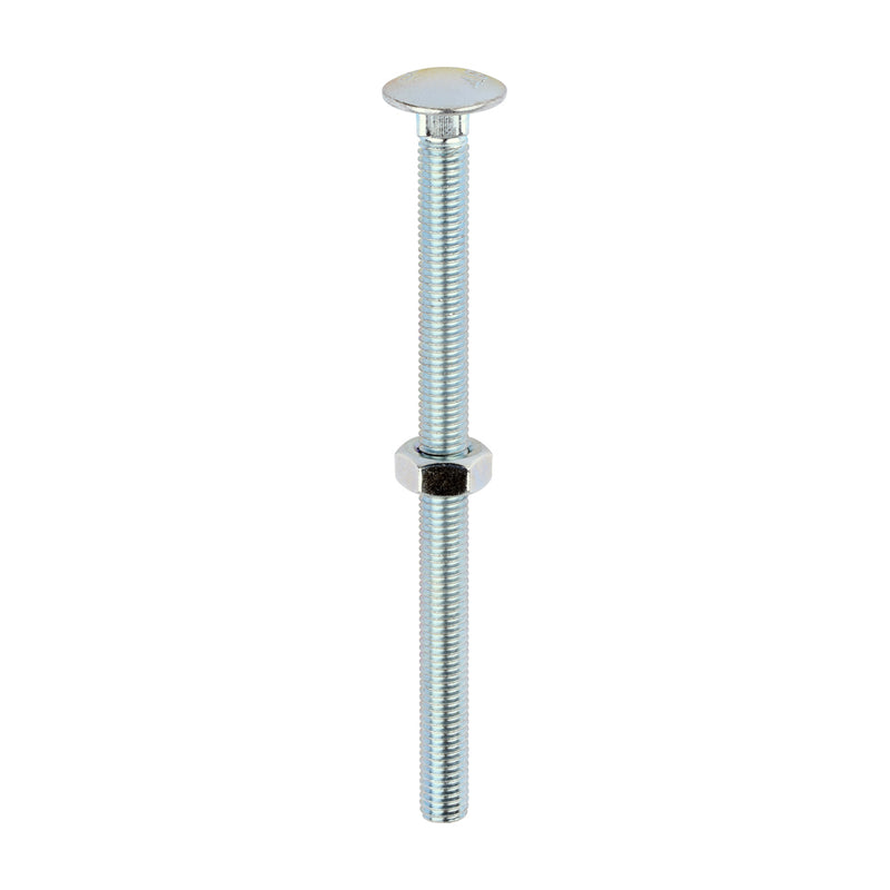 Timco | M10 x 150 Carriage Bolt & Hex
