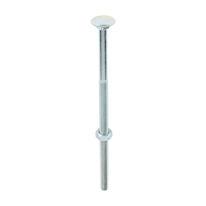 Timco | M10 x 220 Carriage Bolt & Hex