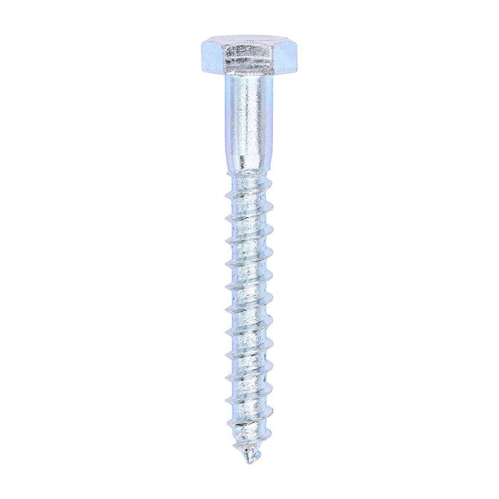 Timco | 10.0 x 80 Coach Screw