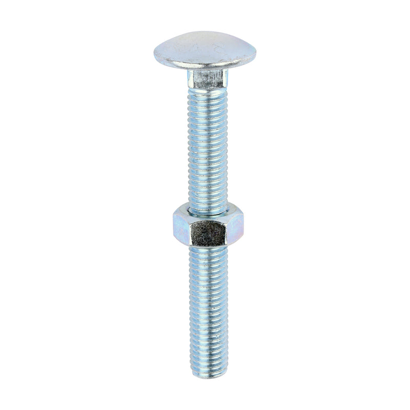 Timco | M12 x 100 Carriage Bolt & Hex Nut