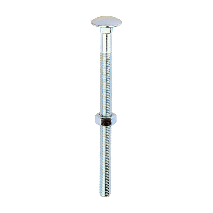 Timco | M12 x 180 Carriage Bolt & Hex Nut