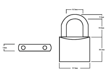 Squire | Lion Brass Padlock 30mm