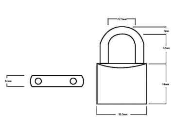 Squire | LN4LS Lion Brass Padlock 5-Pin 40mm - 65mm Long Shackle