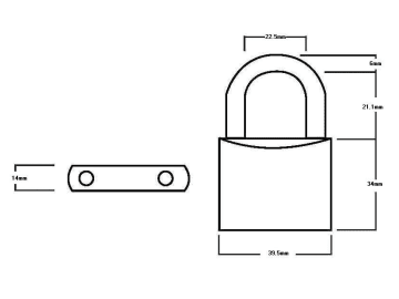 Squire | Lion Brass Padlock 40mm