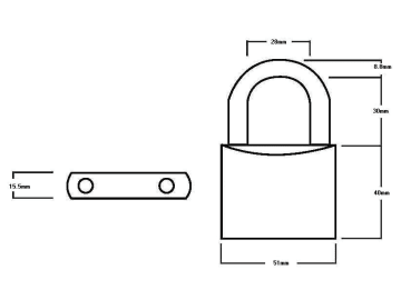 Squire | Lion Brass Padlock 50mm
