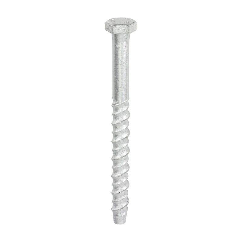 Timco | Multi-Fix Bolt Hex Head 12 x 150