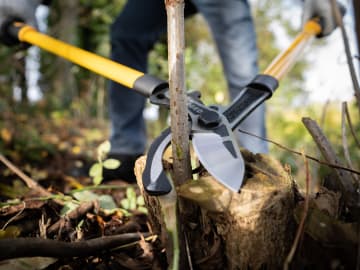Roughneck | XT Pro Bypass Loppers 750mm