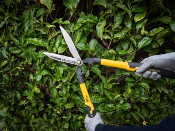 Roughneck | XT Pro Hedge Shears 635mm