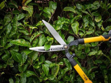 Roughneck | XT Pro Hedge Shears 635mm