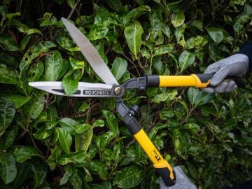 Roughneck | XT Pro Hedge Shears 635mm