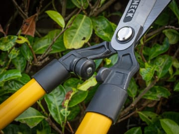 Roughneck | XT Pro Hedge Shears 635mm
